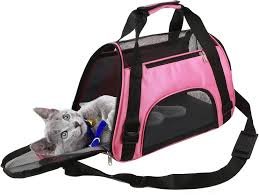 Pet Carrier Bag